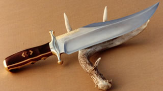 "American Fighting Bowie" "American Fighting Bowie"